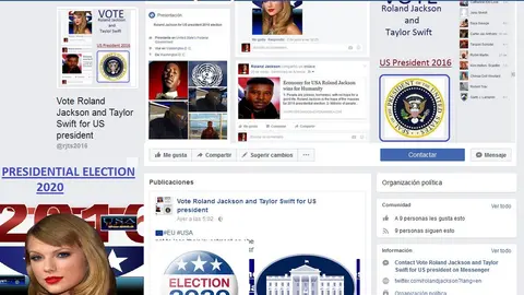 Taylor Swift 2020 US presidential election USA